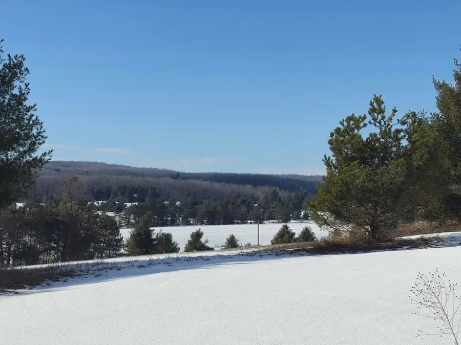 5850 Deer Run Trail, Harbor Springs, MI 49740 - #2