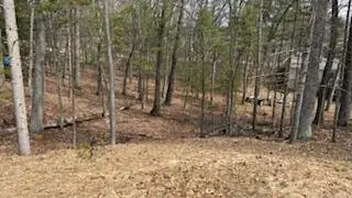 0 Mohawk Street, Pentwater, MI 49449 - #2