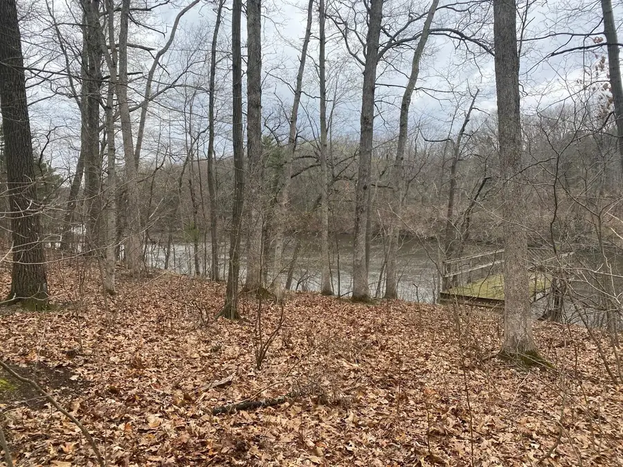 VL Bridge Road, Allegan, MI 49010 - #2