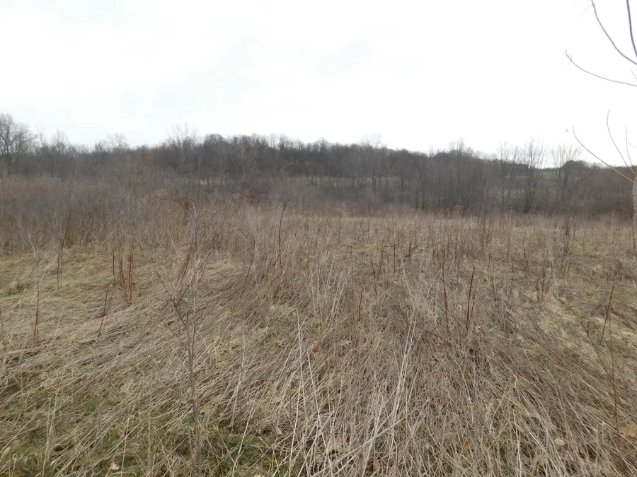 Cox Road, Bellevue, MI 49021 - #2