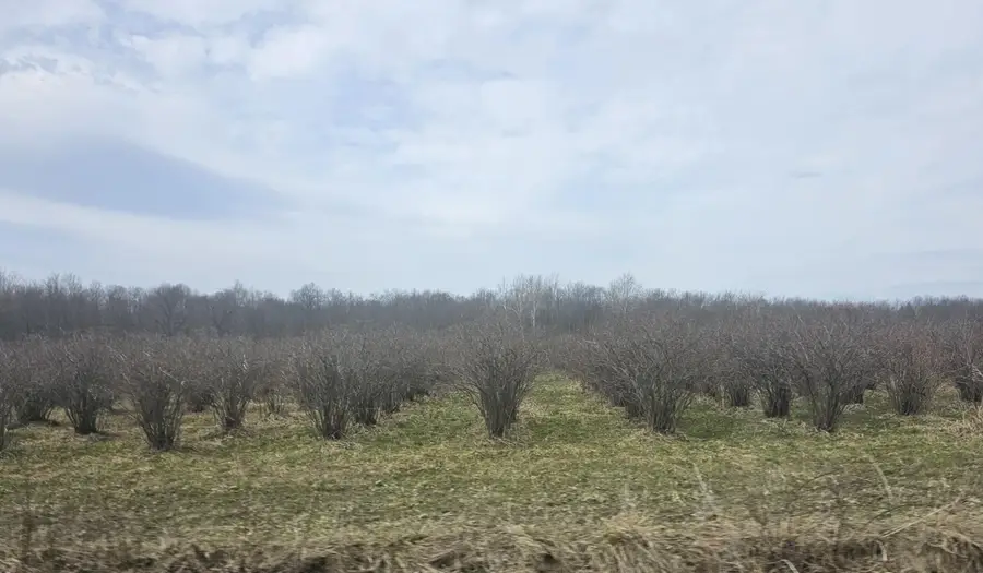 466 27th Street, Allegan, MI 49010 - #2