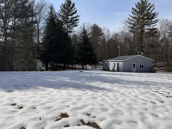 11071 N Gladys Lane, Irons, MI 49644