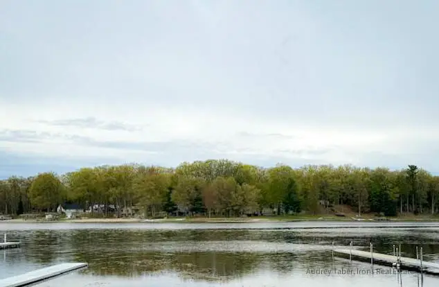 8533 W Katie Lane, Baldwin, MI 49304 - #2