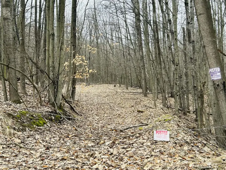 V/L 125th Avenue, Stanwood, MI 49346 - #3