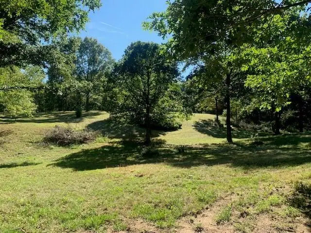 10550 Rolling Oak Drive, Manchester, MI 48158 - #3