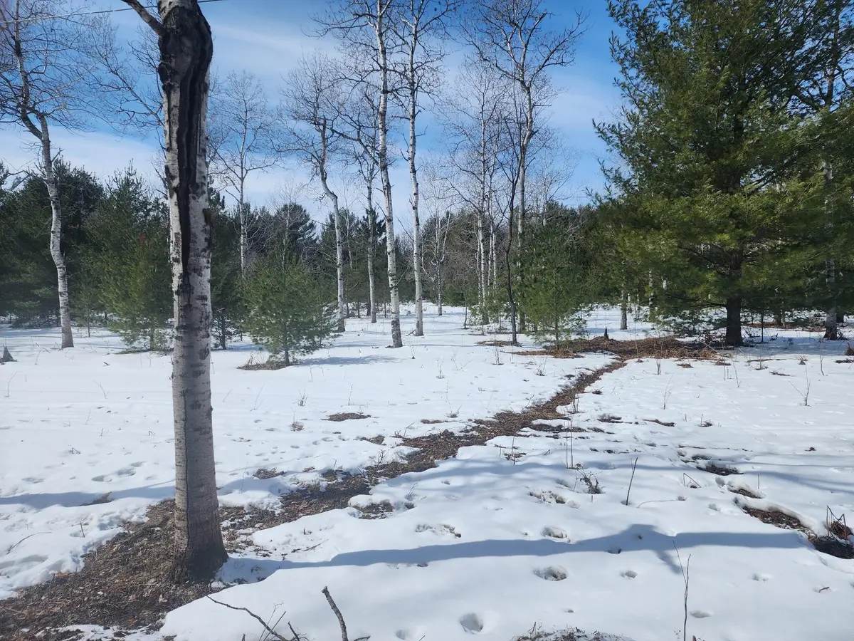 Hall Creek Road, Interlochen, MI 49643 - #1