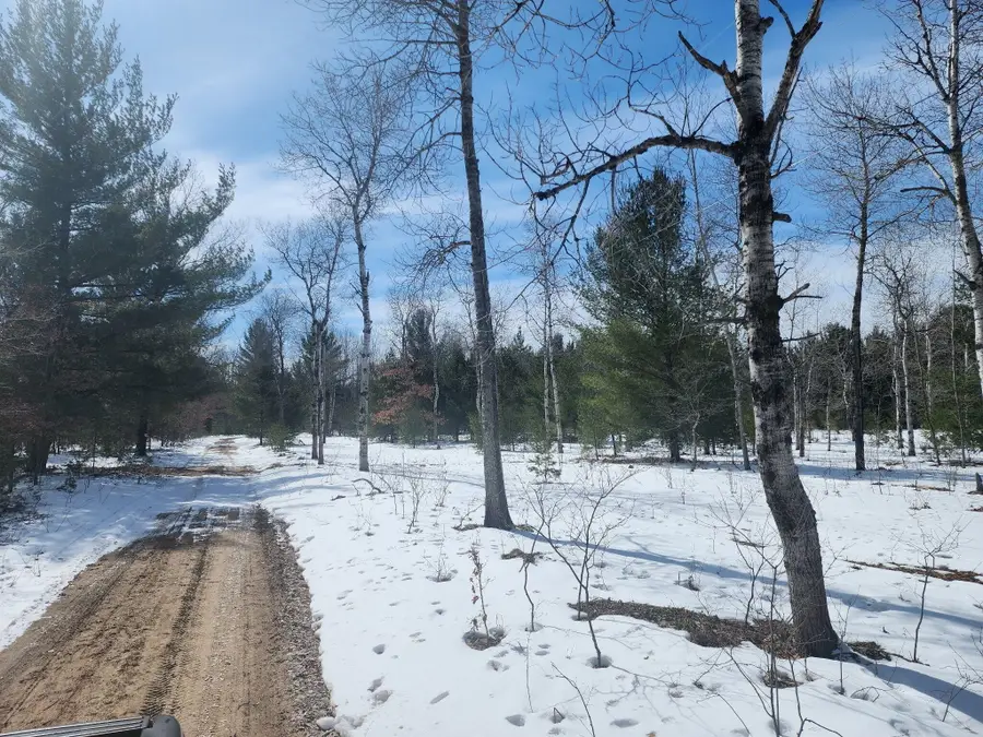 Hall Creek Road, Interlochen, MI 49643 - #3