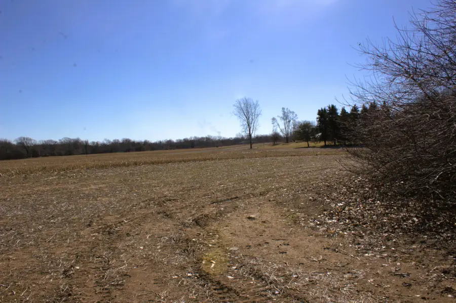 V/L W Pickard Road, Mount Pleasant, MI 48858 - #2
