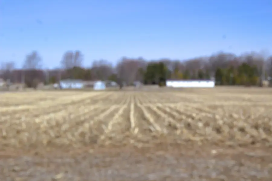 V/L W Pickard Road, Mount Pleasant, MI 48858 - #3