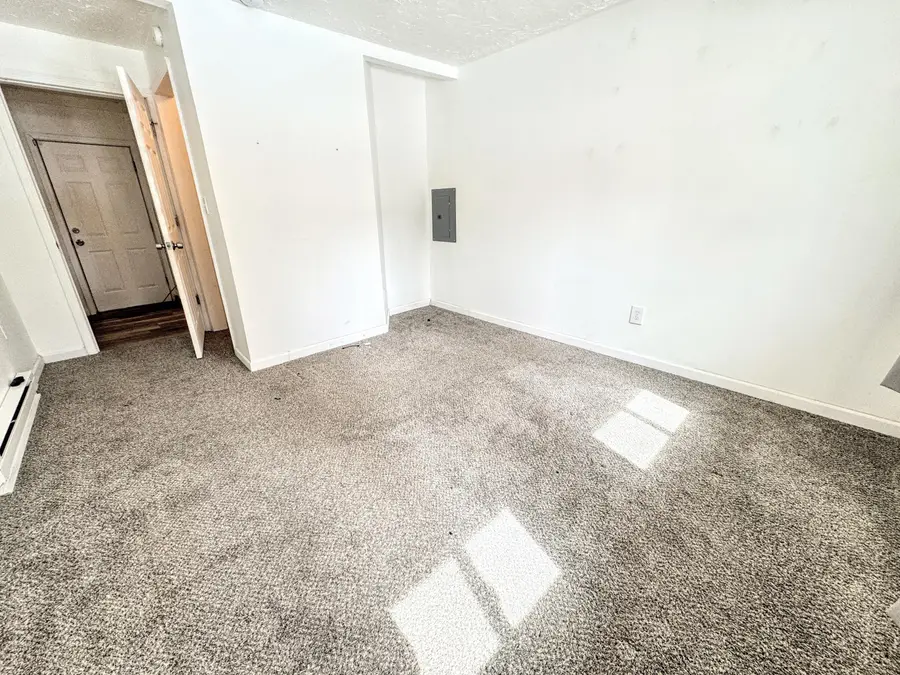 216 Fern Avenue, Cadillac, MI 49601 - #3