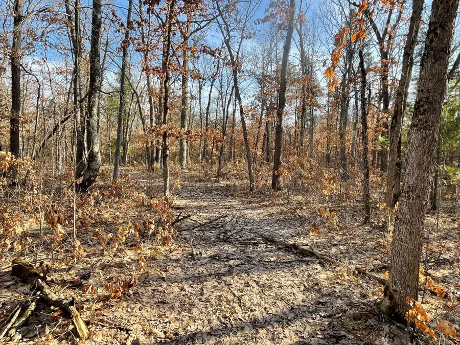 21210 W 12 Mile Road, Irons, MI 49644 - #2