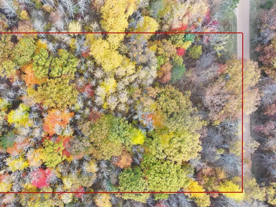 11643 N Willow Road, Bitely, MI 49309 - #3