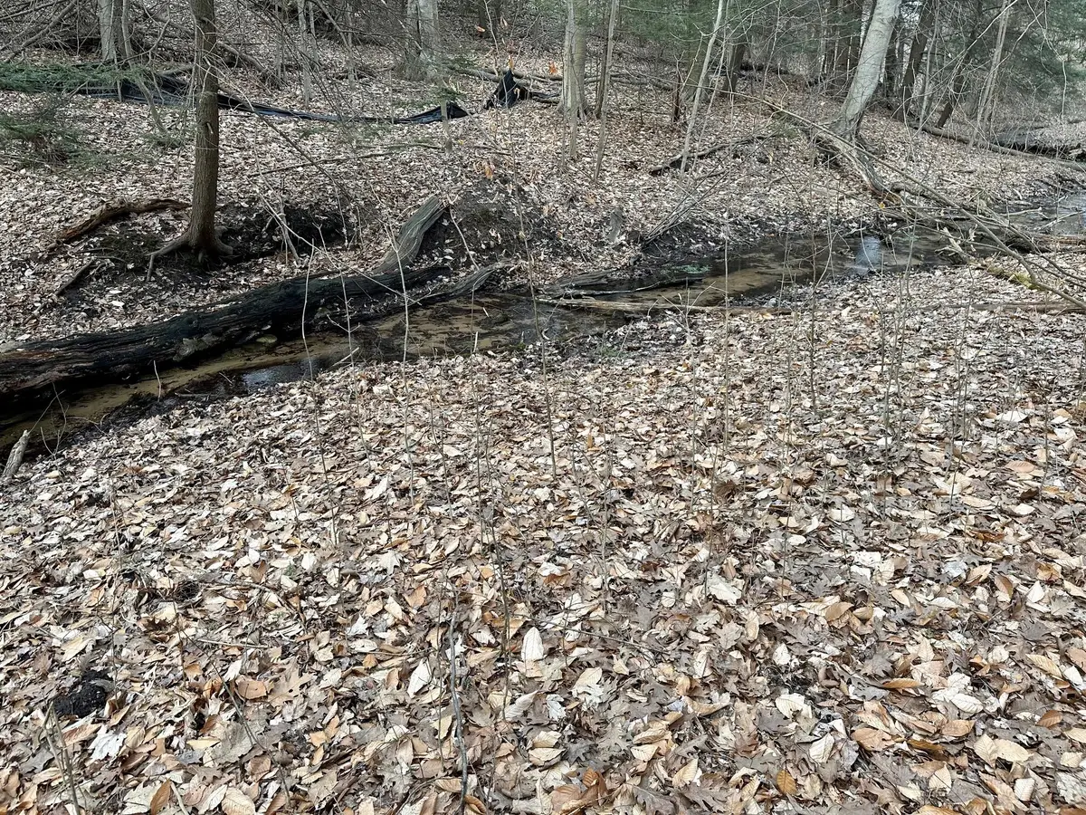 V/L S Beaune Road, Ludington, MI 49431 - #1