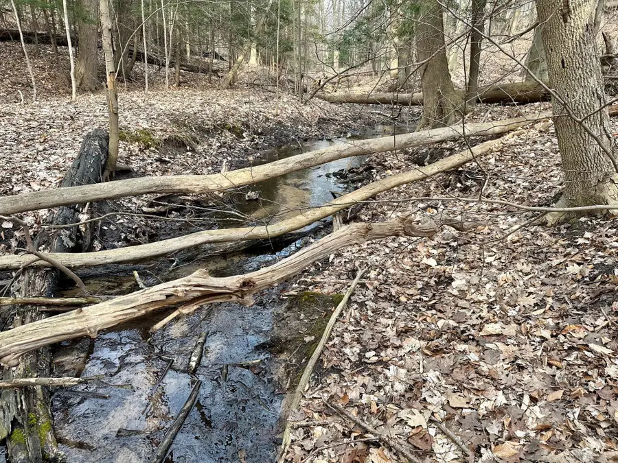 V/L S Beaune Road, Ludington, MI 49431 - #3