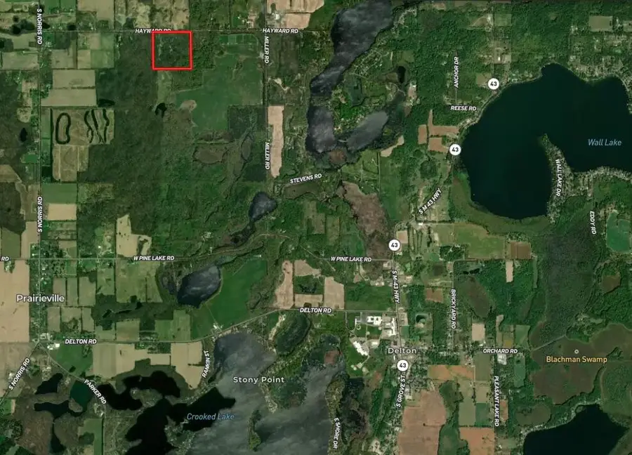 Hayward Road, Delton, MI 49046 - #3