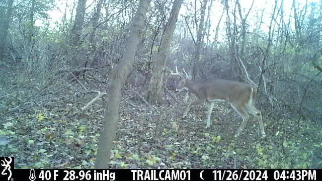 27 C Drive N, Albion, MI 49224 - #2