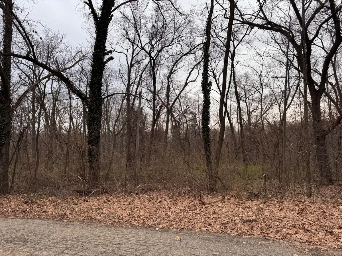 Lakeview Drive, Dowagiac, MI 49047 - #1