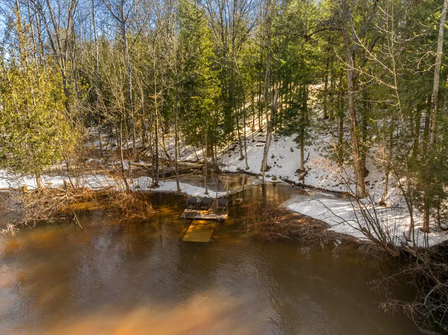 15750 Betsie River Drive, Thompsonville, MI 49683 - #2
