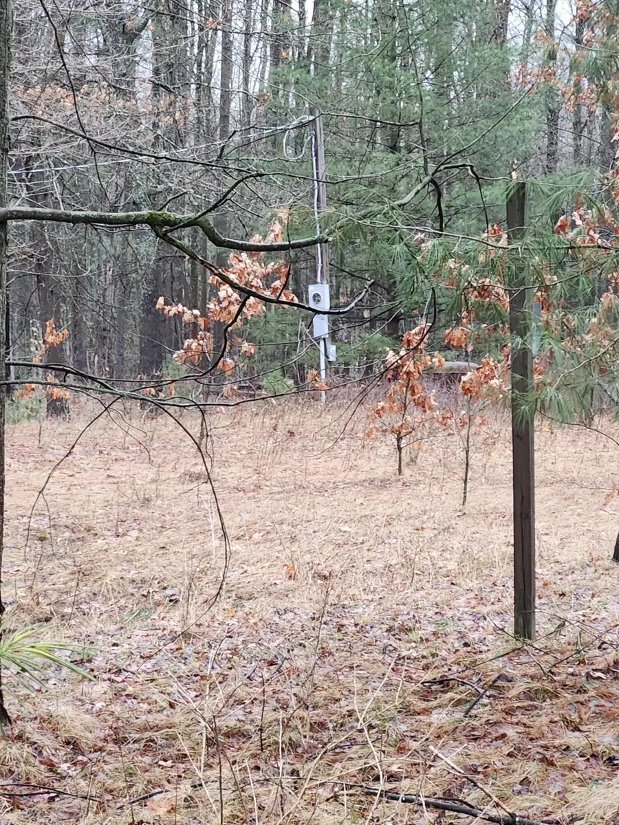 8071 Rolling Drive, Lake, MI 48632 - #2