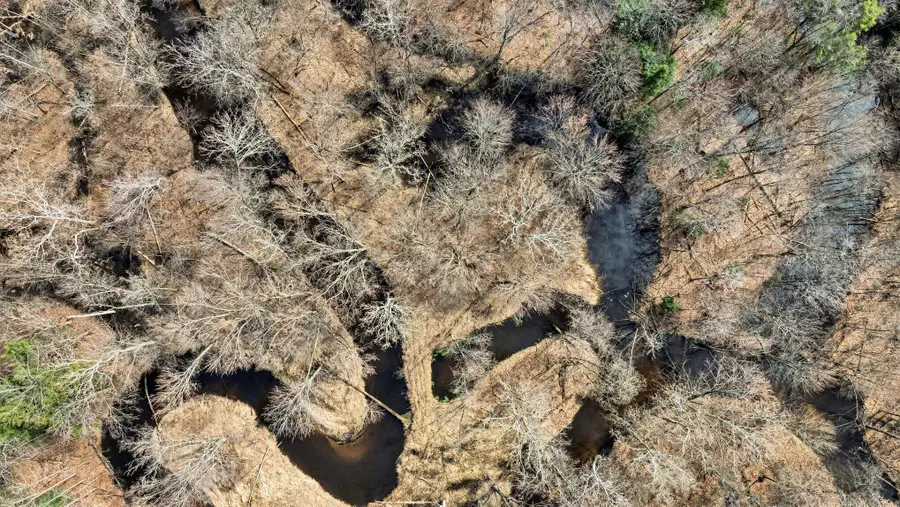 514 62nd Street, South Haven, MI 49090 - #2