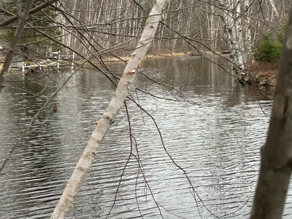 10910 Boxwood Drive #247, Canadian Lakes, MI 49346