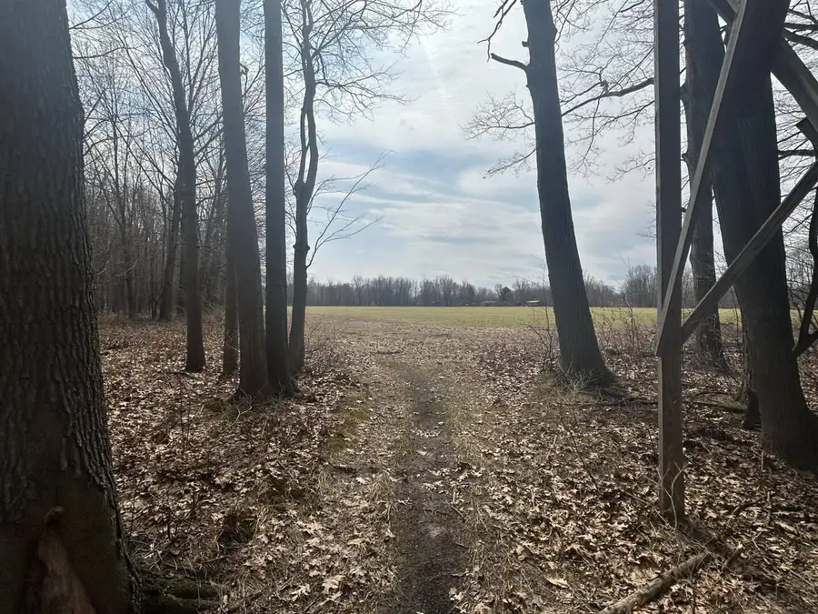 6551 Brown Road, Jonesville, MI 49250 - #3