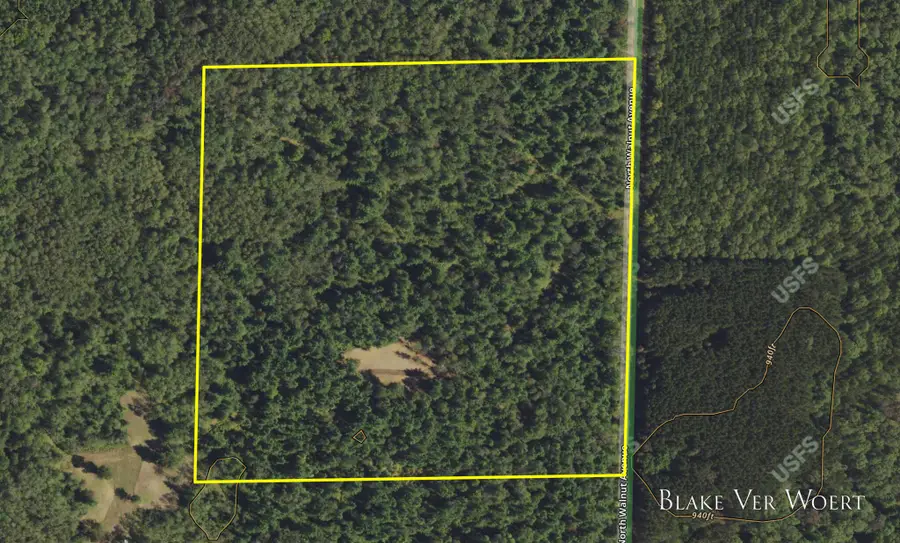 V/L 20.5A N Walnut Avenue, Bitely, MI 49309 - #2