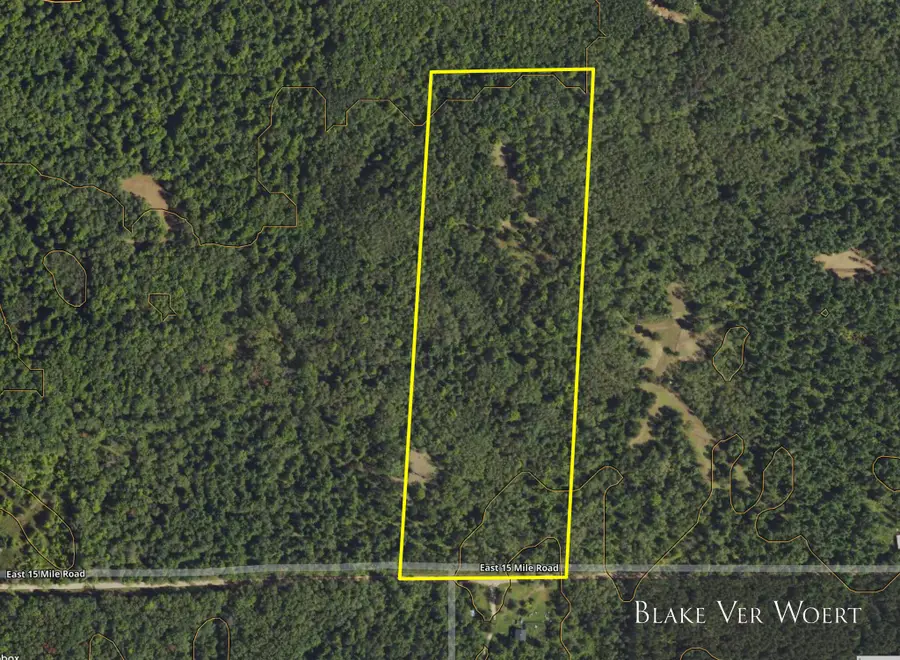V/L 27A E 15 Mile Road, Bitely, MI 49309 - #2
