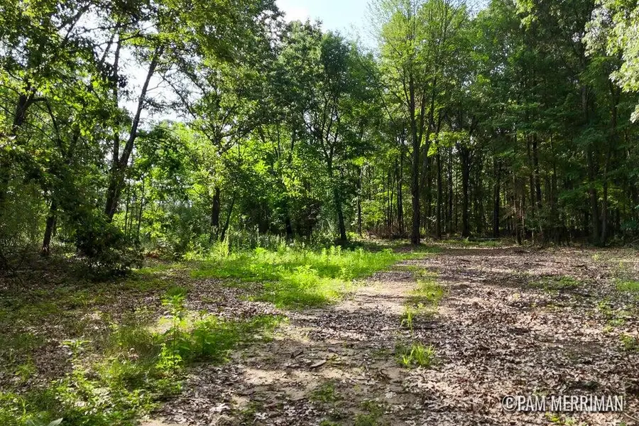 Parcel E W Willard Road, Trufant, MI 49347 - #3