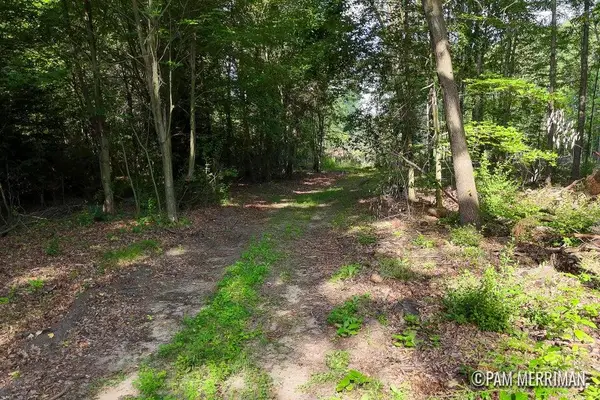 Parcel C Youngman Road, Trufant, MI 49347