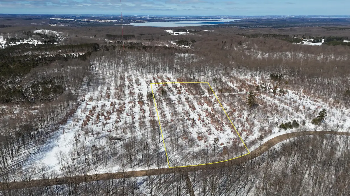 Walker Road Nw, Rapid City, MI 49676 - #1