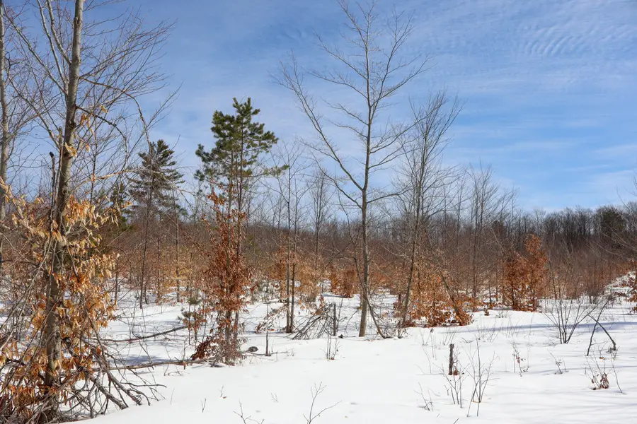 Walker Road Nw, Rapid City, MI 49676 - #3