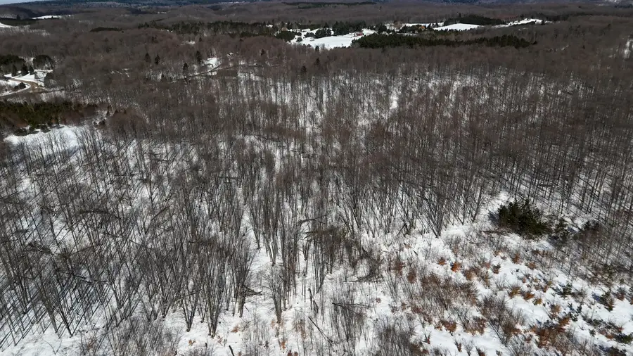 Walker Road Nw, Rapid City, MI 49676 - #2