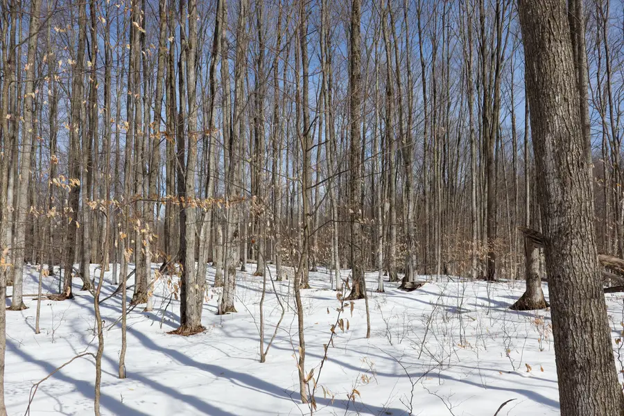 Walker Road Nw, Rapid City, MI 49676 - #3