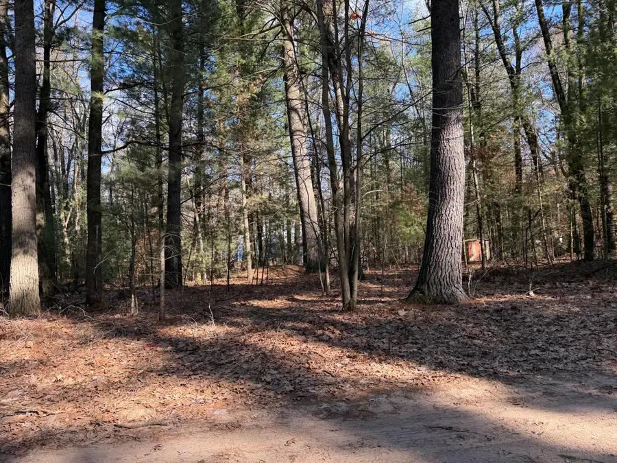 S Atwater, White Cloud, MI 49349 - #3