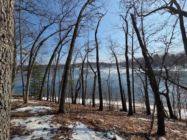 9110 S Oxeye Avenue, Baldwin, MI 49304