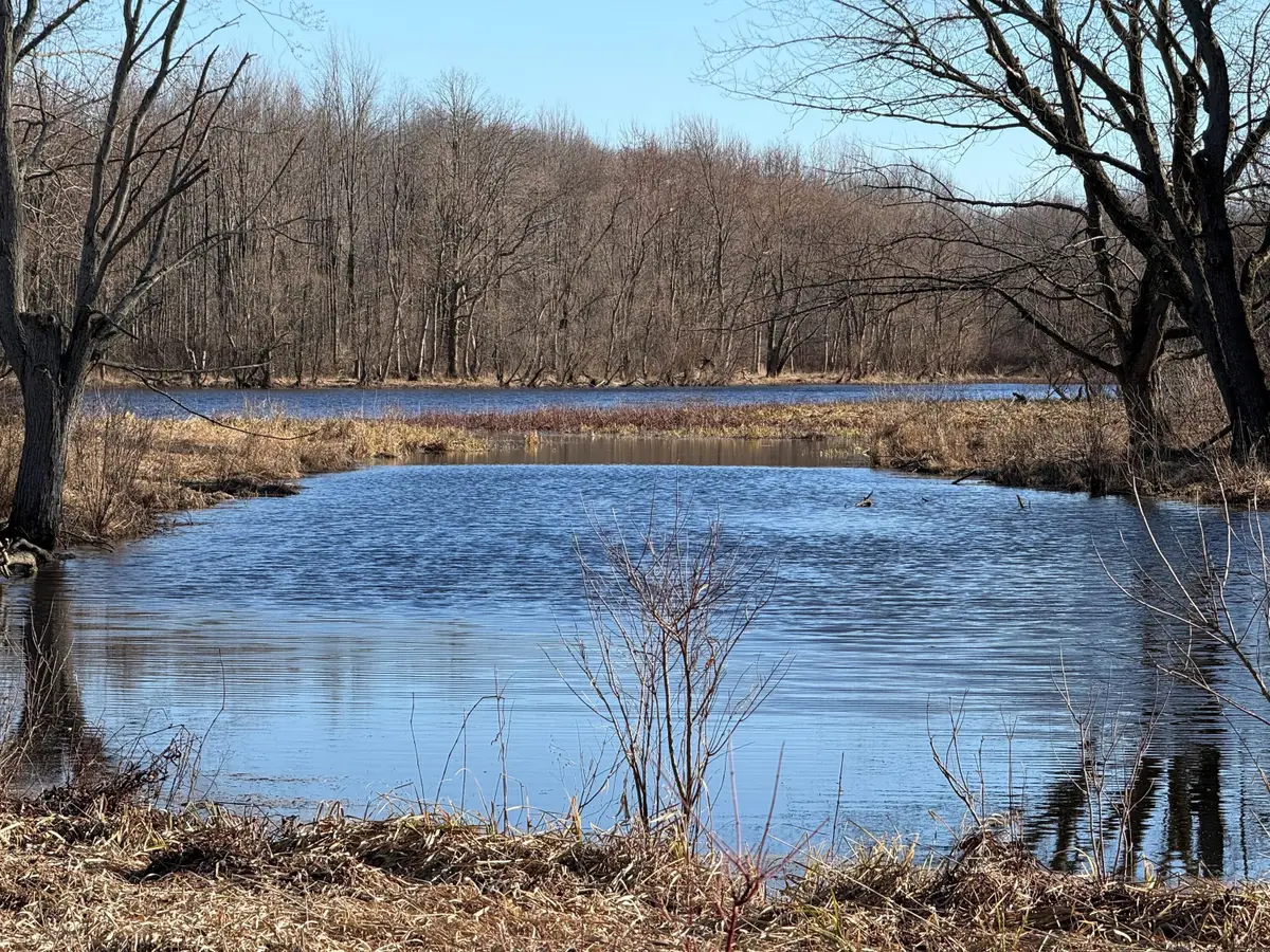 VL E Dowling Road, Dowling, MI 49050 - #1