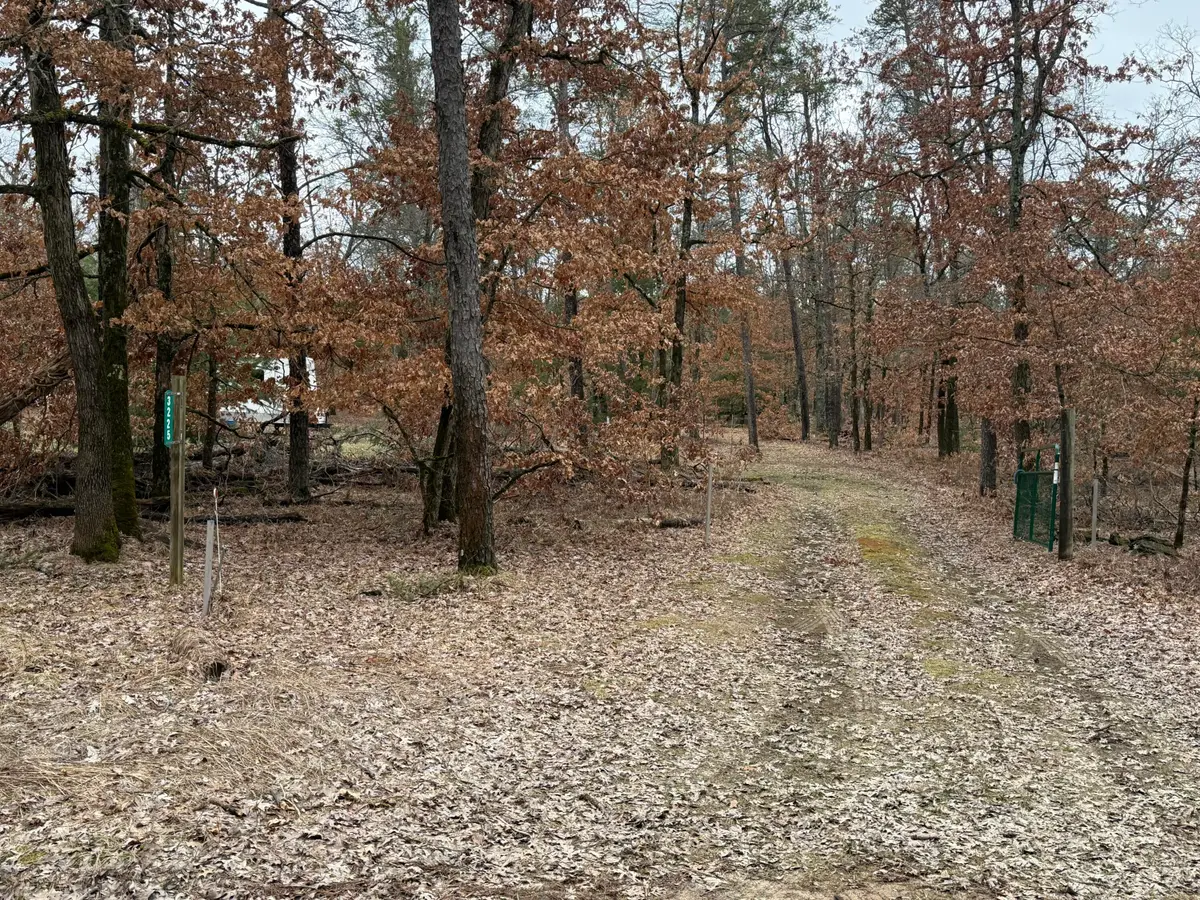 3225 W 1 1/2 Mile Road, Baldwin, MI 49304 - #1