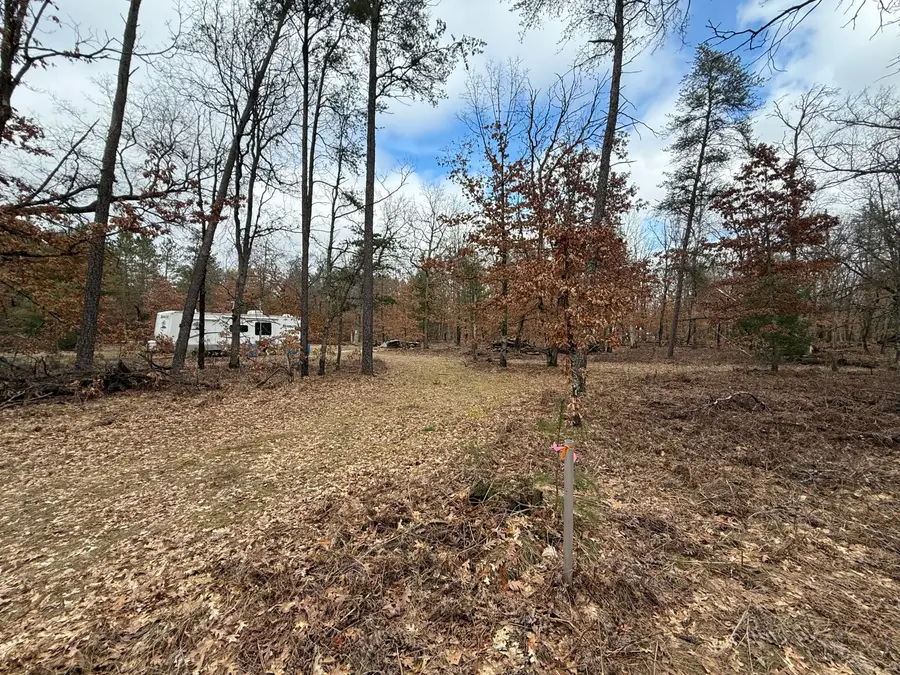 3225 W 1 1/2 Mile Road, Baldwin, MI 49304 - #2