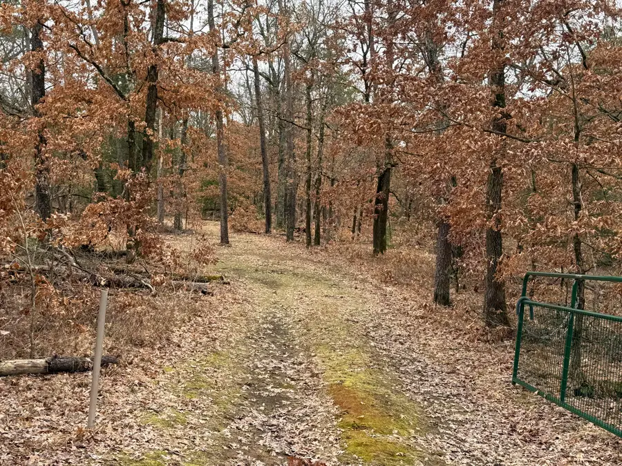 3225 W 1 1/2 Mile Road, Baldwin, MI 49304 - #3