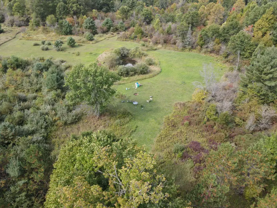 0 VL Chase Bridge Road, Roscommon, MI 48653 - #3