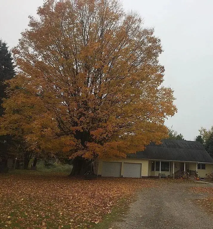 371 N Stiles Road, Ludington, MI 49431 - #3