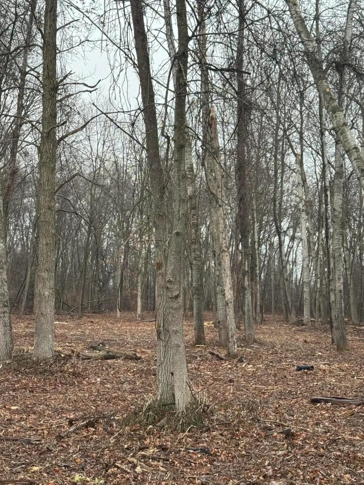 S Main Street, Au Gres, MI 48703 - #1