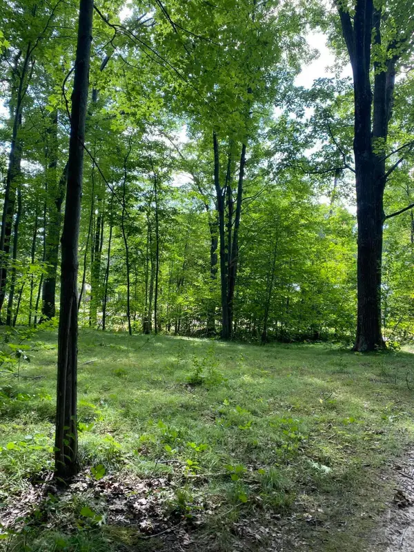 Elm Drive, Lakeview, MI 48850