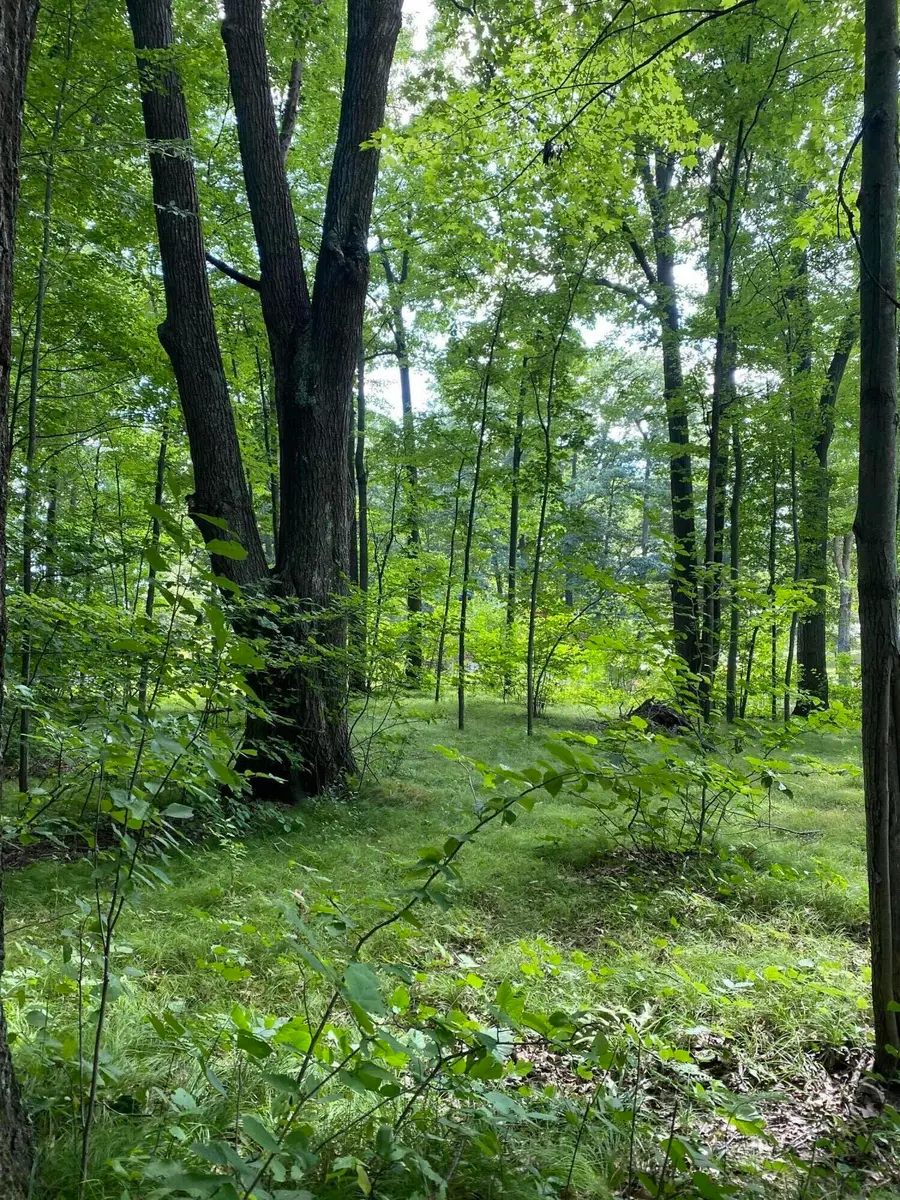 Elm Drive, Lakeview, MI 48850 - #2