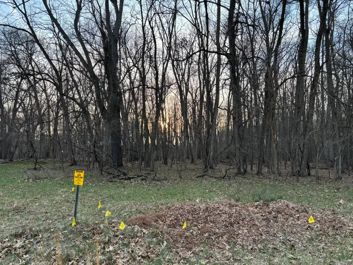 11560 Rutan Circle, Jerome, MI 49249 - #1