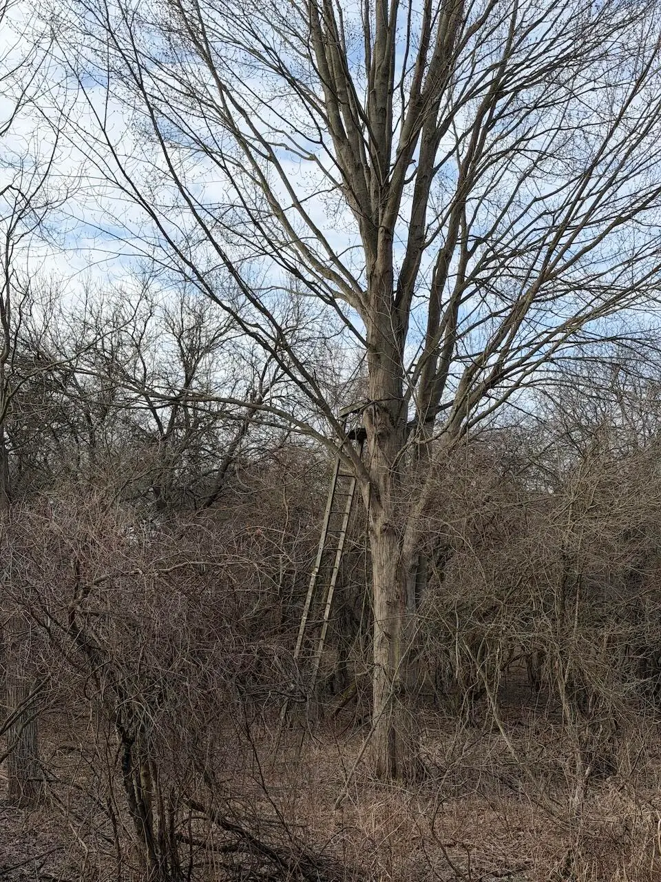 VL Harper Road, Holt, MI 48842 - #1