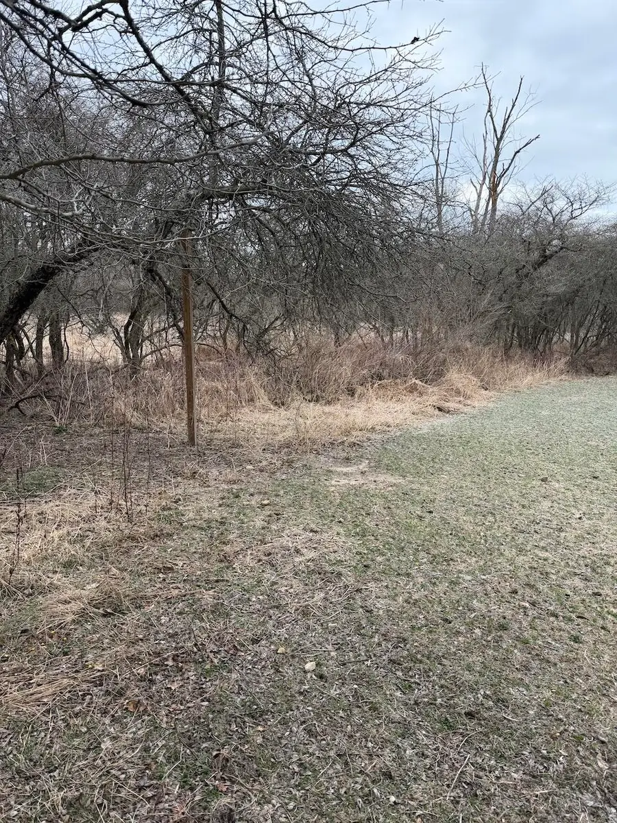 VL Harper Road, Holt, MI 48842 - #3