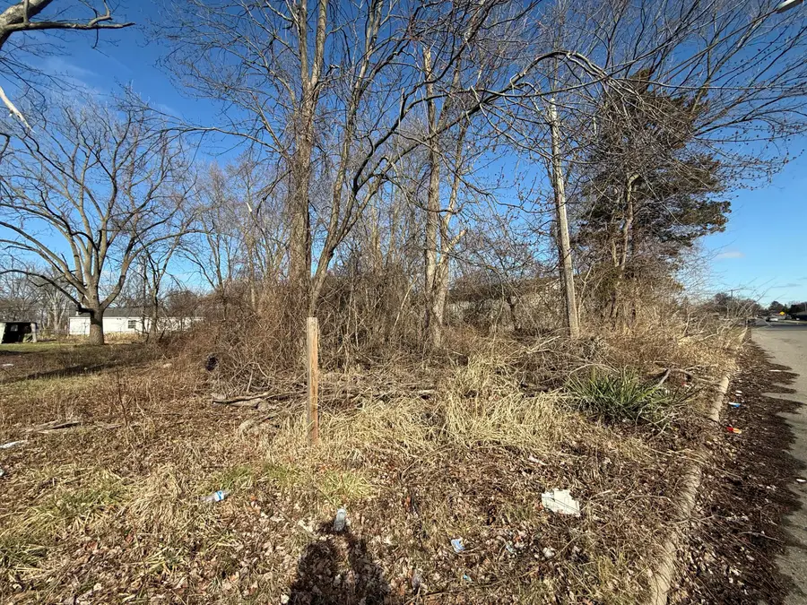 Tromley Street, Inkster, MI 48141 - #2
