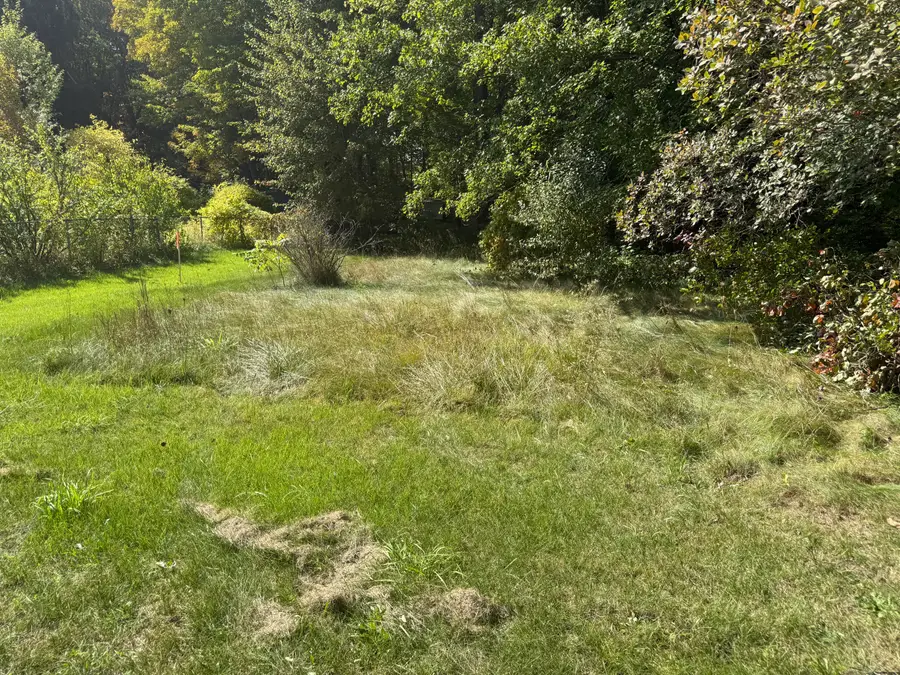 VL Carol Street, Newaygo, MI 49337 - #3